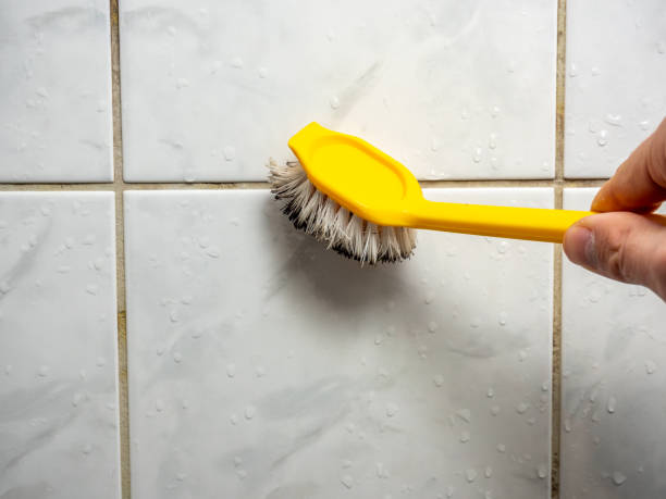 Best Certified Mold Removal  in Arlington, NE